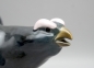 Preview: Volkstedt Karl Ens Porzellan Figur Vogel Auerhahn.